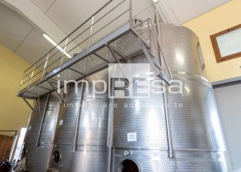 Foto 6 - Azienda agricola Ormelle - foto 6