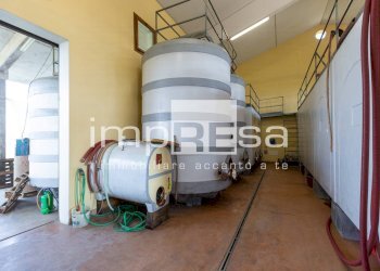 Foto 7 - Azienda agricola Ormelle - foto 7