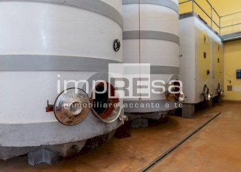 Foto 8 - Azienda agricola Ormelle - foto 8