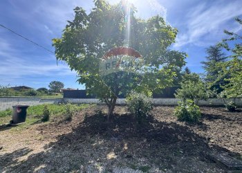 Giardino - Villa contrda Santa Maria de Foras
 
4M, Campobasso - foto 18