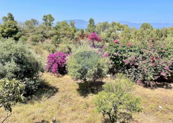 Giardino - Villa Via Federico II
 
9, Terrasini - foto 27