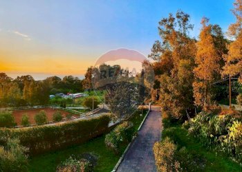 Giardino - Villa Via Federico II
 
9, Terrasini - foto 30