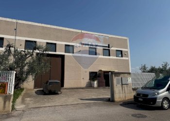 Edificio all\'aperto - Capannone Contrada San Simeone S.P. Bari-Modugno Km 0, 800, Modugno - foto 5