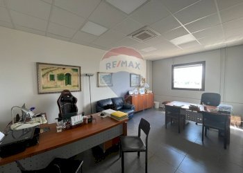 Ufficio - Capannone Contrada San Simeone S.P. Bari-Modugno Km 0, 800, Modugno - foto 17