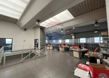 Ufficio - Capannone Contrada San Simeone S.P. Bari-Modugno Km 0, 800, Modugno - foto 25