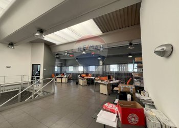 Ufficio - Capannone Contrada San Simeone S.P. Bari-Modugno Km 0, 800, Modugno - foto 26