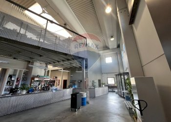 Parcheggio - Capannone Contrada San Simeone S.P. Bari-Modugno Km 0, 800, Modugno - foto 40