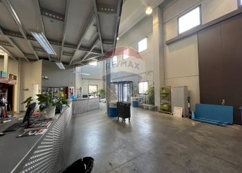 Palestra - Capannone Contrada San Simeone S.P. Bari-Modugno Km 0, 800, Modugno - foto 41