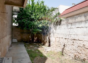 Giardino - Independent house Via Tarulli Francesco
 
1, Bitetto - photo 11