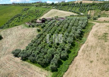 Foto 8 - Villa Località Volpe
 
7, Roseto degli Abruzzi - photo 8