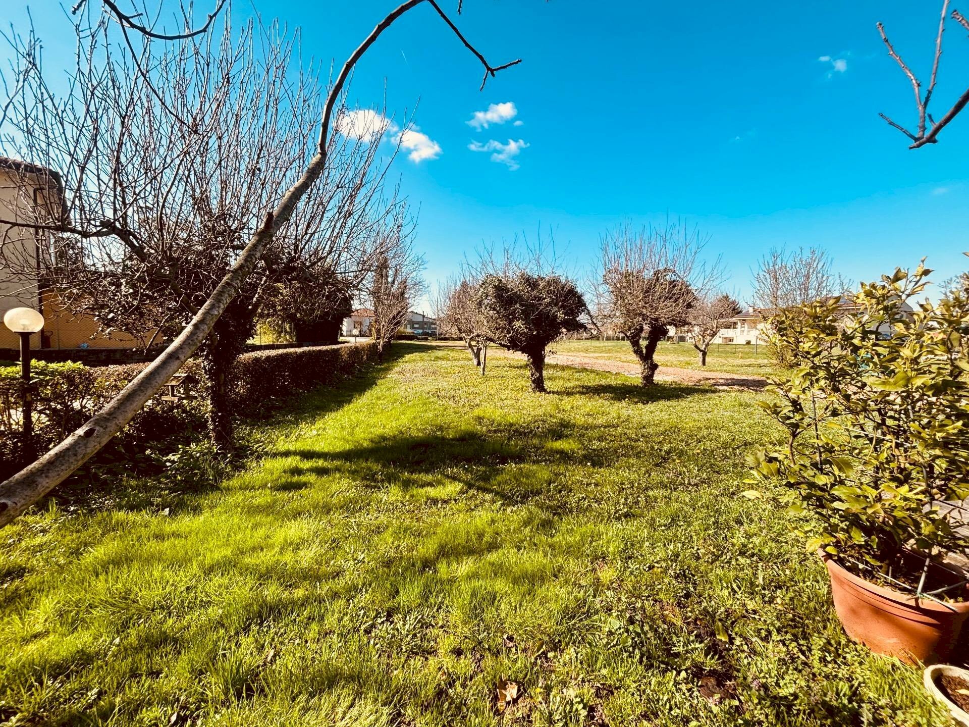 Foto 2 - Terreno edificabile Via Maceratoi Gatto
 
18, Montagnana - foto 2