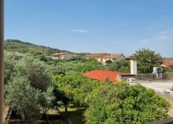 Foto 15 - Casa indipendente Via San Pietro, Nuxis - foto 15