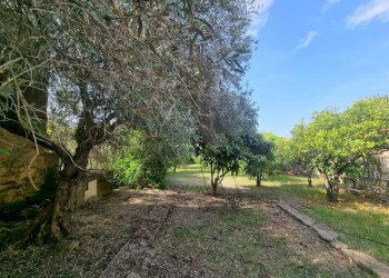 Foto 15 - Casa semi indipendente Via San Pietro, Nuxis - foto 15