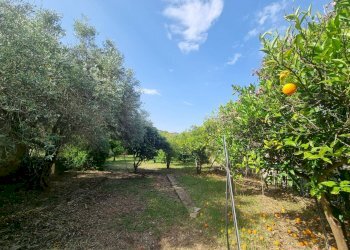 Foto 16 - Casa semi indipendente Via San Pietro, Nuxis - foto 16