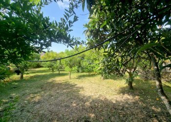 Foto 18 - Casa semi indipendente Via San Pietro, Nuxis - foto 18