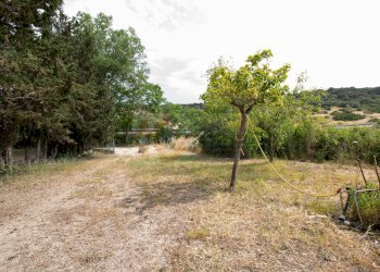 Foto 17 - Casa indipendente Località Saccargia
 
snc, Codrongianos - foto 17