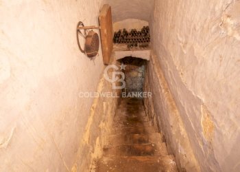 Foto 20 - Villa Giuseppe La Masa
 
99, Andria - photo 20