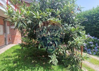 Giardino - Three-room apartment Viale Ticino
 
10, Castelletto Sopra Ticino - photo 25