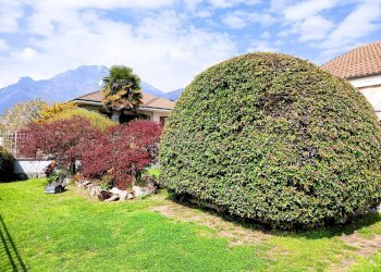 Foto 11 - Villa Via Monte Palavas
 
13, Luserna San Giovanni - foto 11