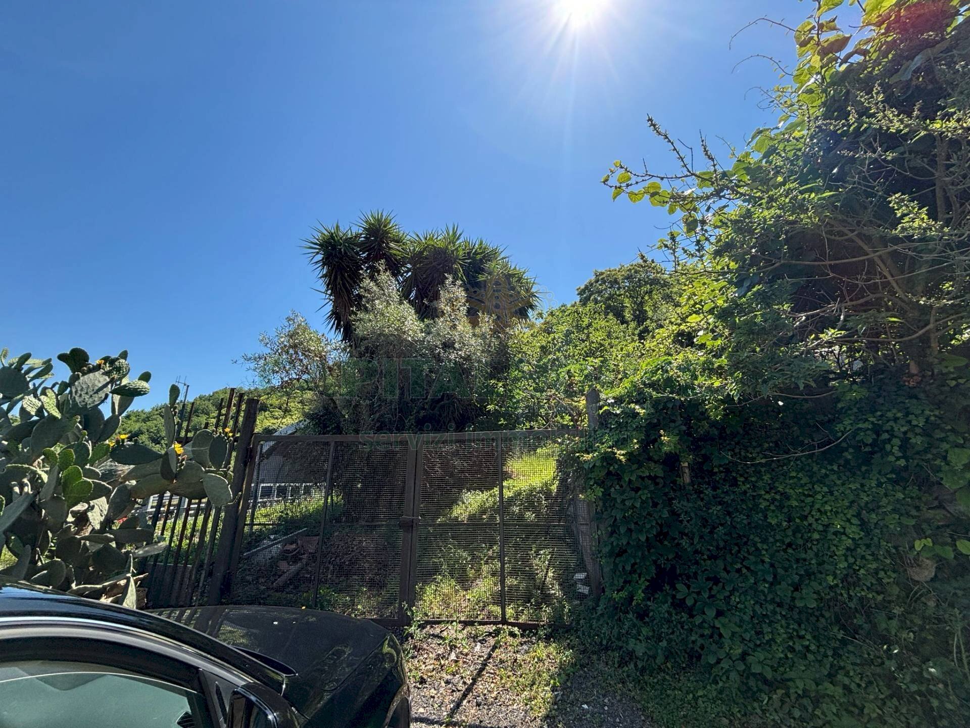 Foto 1 - Terreno agricolo VICINALE DELL ABBADESSA, Mercato San Severino - foto 1