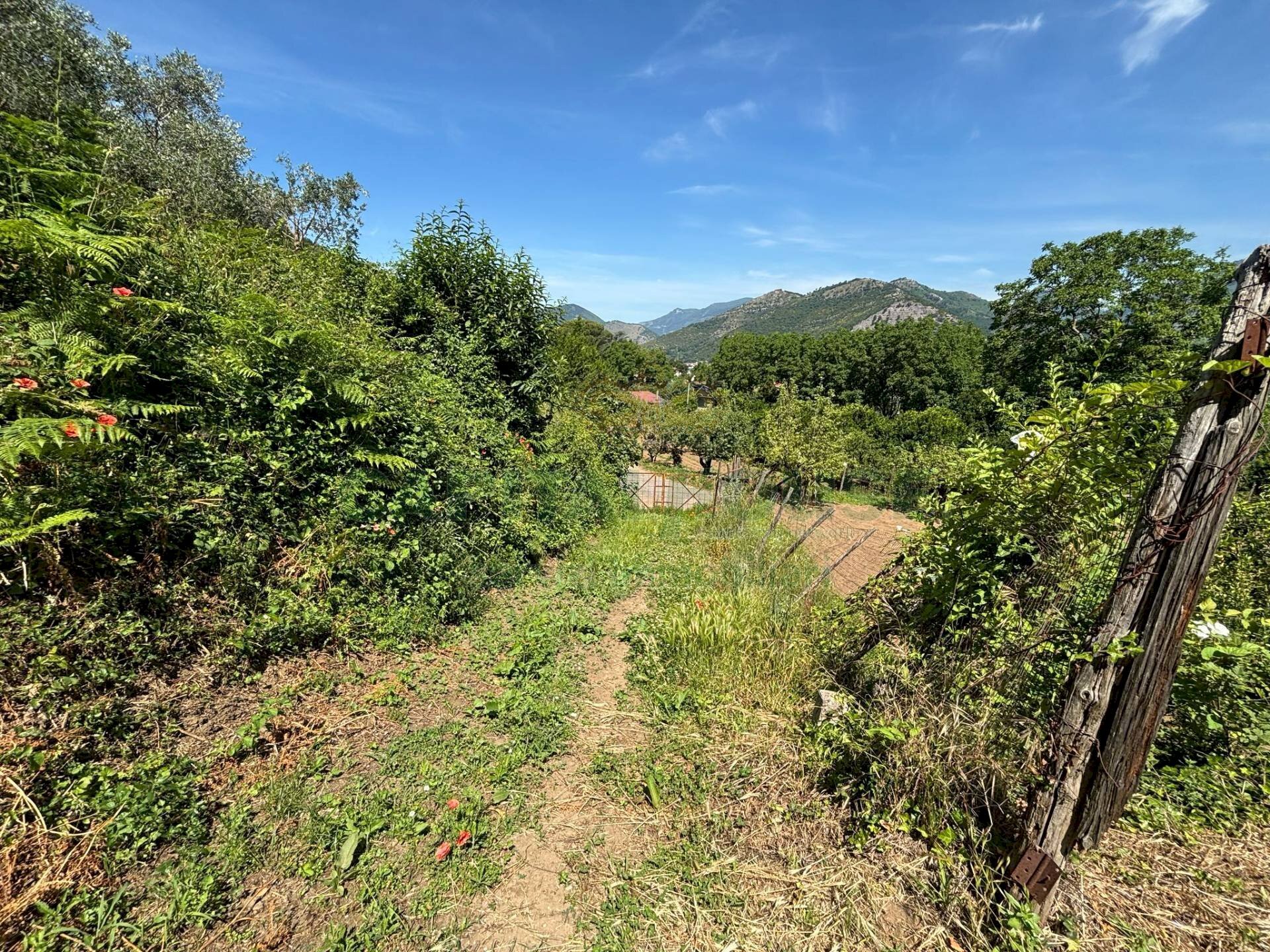 Foto 2 - Terreno agricolo VICINALE DELL ABBADESSA, Mercato San Severino - foto 2