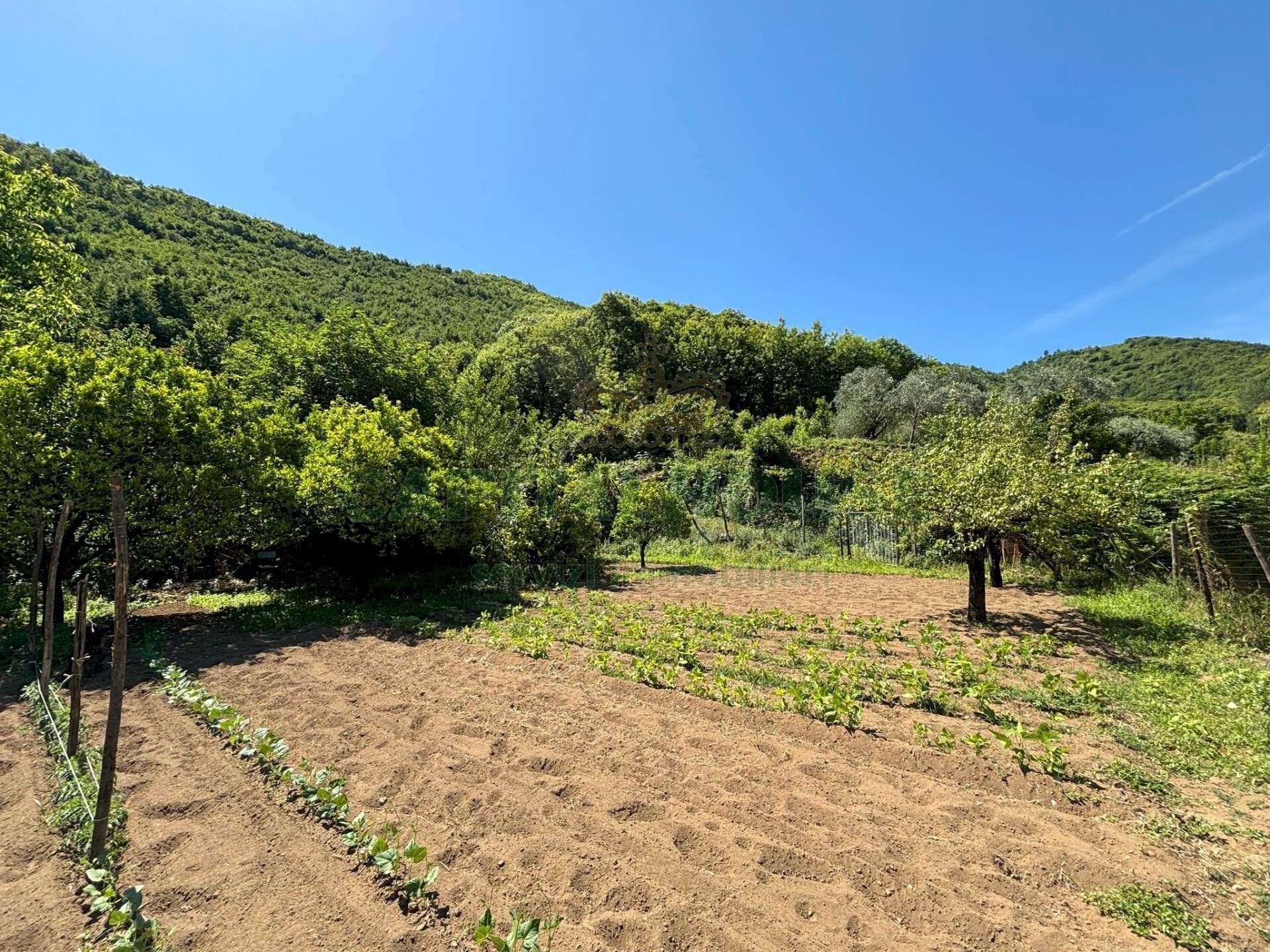 Foto 2 - Terreno agricolo VICINALE DELL ABBADESSA, Mercato San Severino - foto 2