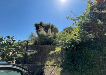 Foto 1 - Terreno agricolo VICINALE DELL ABBADESSA, Mercato San Severino - foto 1