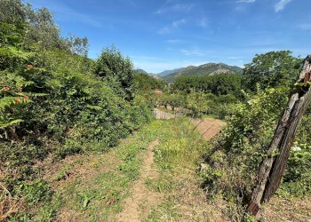 Foto 2 - Terreno agricolo VICINALE DELL ABBADESSA, Mercato San Severino - foto 2