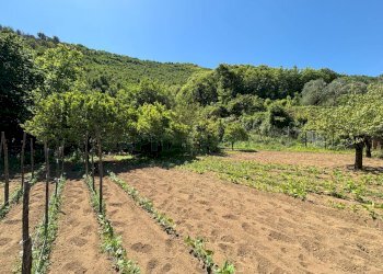 Foto 4 - Terreno agricolo VICINALE DELL ABBADESSA, Mercato San Severino - foto 4