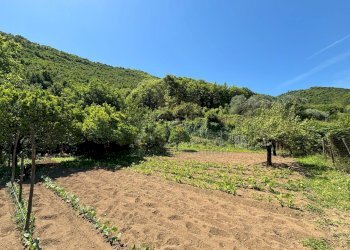 Foto 5 - Terreno agricolo VICINALE DELL ABBADESSA, Mercato San Severino - foto 5