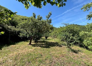 Foto 7 - Terreno agricolo VICINALE DELL ABBADESSA, Mercato San Severino - foto 7