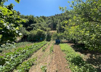 Foto 9 - Terreno agricolo VICINALE DELL ABBADESSA, Mercato San Severino - foto 9