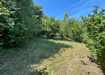 Foto 12 - Terreno agricolo VICINALE DELL ABBADESSA, Mercato San Severino - foto 12