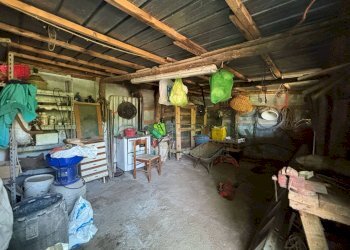 Foto 13 - Terreno agricolo VICINALE DELL ABBADESSA, Mercato San Severino - foto 13