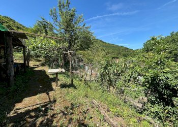 Foto 16 - Terreno agricolo VICINALE DELL ABBADESSA, Mercato San Severino - foto 16