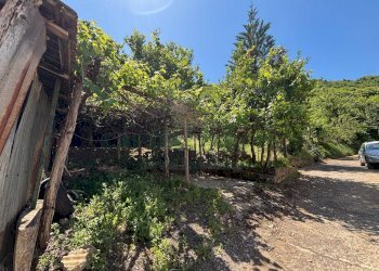 Foto 19 - Terreno agricolo VICINALE DELL ABBADESSA, Mercato San Severino - foto 19