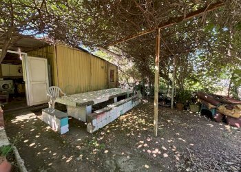 Foto 26 - Terreno agricolo VICINALE DELL ABBADESSA, Mercato San Severino - foto 26