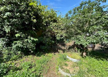 Foto 27 - Terreno agricolo VICINALE DELL ABBADESSA, Mercato San Severino - foto 27