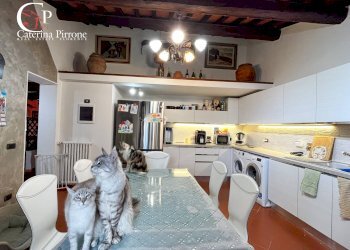 Foto 21 - Rustic via della Montagnola
 
190, Greve in Chianti - photo 21