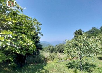 Foto 4 - Rustico via Rincine
 
19, Londa - foto 4