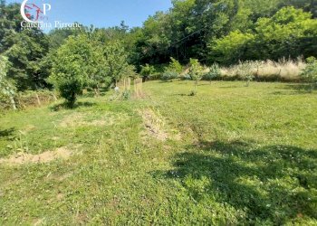 Foto 5 - Rustico via Rincine
 
19, Londa - foto 5