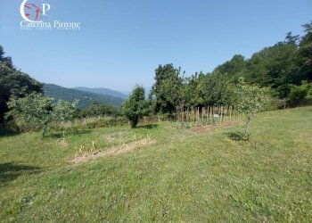 Foto 7 - Rustico via Rincine
 
19, Londa - foto 7