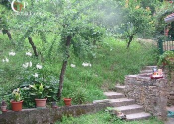 Foto 5 - Rustic località Le Valli
 
7, Figline e Incisa Valdarno - photo 5