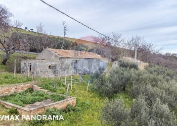 Foto 3 - Rustico Via Di Palmoli
 
snc, San Salvo - foto 3