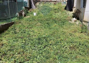 Foto 37 - Casa semi indipendente Via Istonia
 
175, Cupello - foto 37