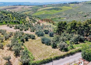 Foto 2 - Terreno agricolo Montevecchio
 
Snc, Vasto - foto 2