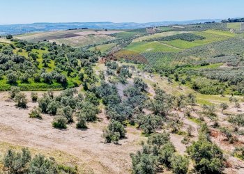 Foto 5 - Terreno agricolo Montevecchio
 
Snc, Vasto - foto 5