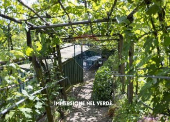 SCALE GIARDINO - Trilocale PIAZZA DEI MONTINI
 
3, Roccastrada - foto 37