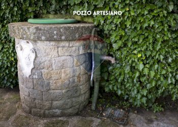 DETTAGLIO GIARDINO - Trilocale PIAZZA DEI MONTINI
 
3, Roccastrada - foto 43