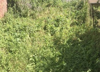 Foto 14 - Casa semi indipendente VIA ROSA SCOTI FRANCESCHI PARTINA
 
21, Bibbiena - foto 14